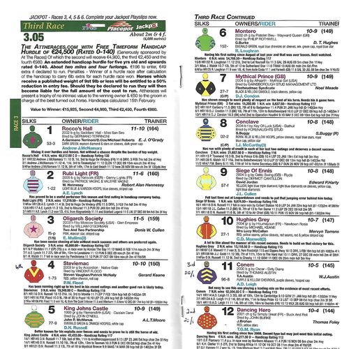 2010 Fairyhouse At The Races Meeting (20/02/2010) Horse Racing Racecard