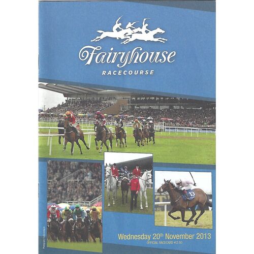 2013 Fairyhouse Race Meeting (20/11/2013) Horse Racing Racecard