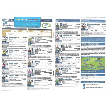 2013 Fairyhouse Race Meeting (20/11/2013) Horse Racing Racecard