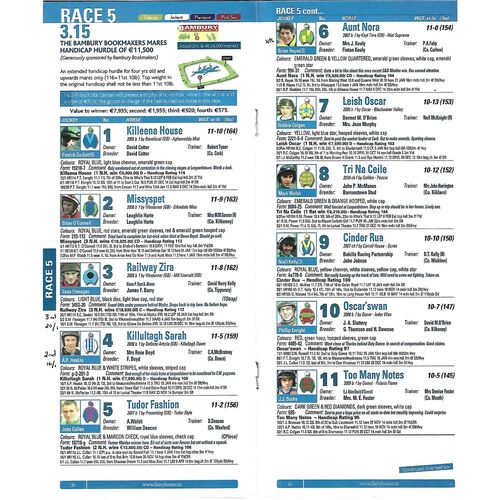 2015 Fairyhouse At The Races Meeting (21/02/2015) Horse Racing Racecard