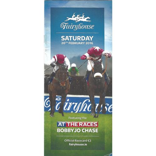 2016 Fairyhouse At The Races Meeting (20/02/2016) Horse Racing Racecard
