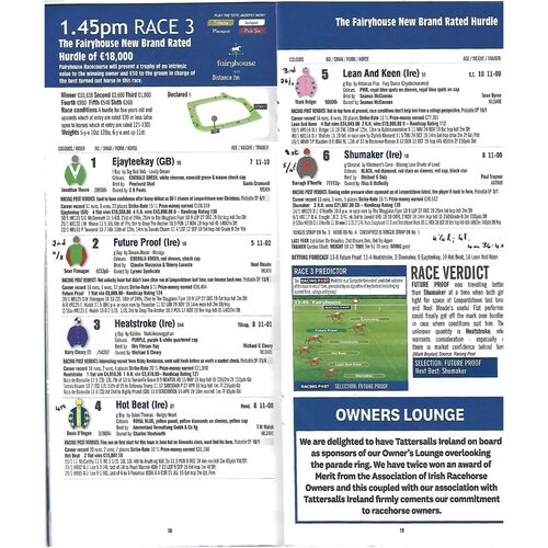 2020 Fairyhouse Race Meeting (14/01/2020) Horse Racing Racecard