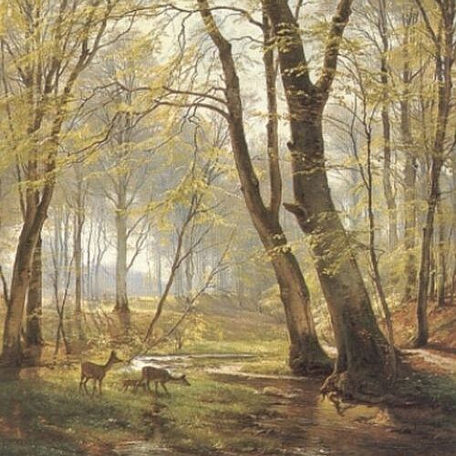 Woodland Scene with Deer