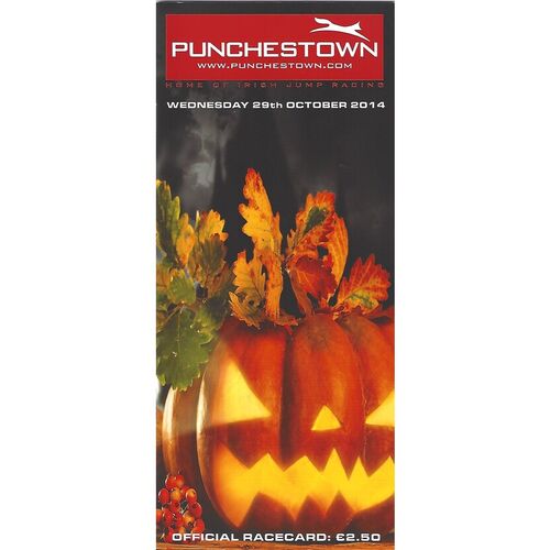 2014 Punchestown Race Meeting (29/10/2014) Horse Racing Racecard