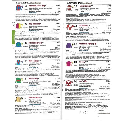 2014 Punchestown Race Meeting (29/10/2014) Horse Racing Racecard