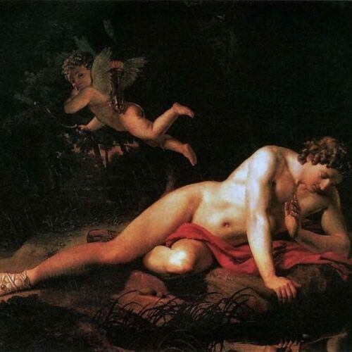 Narcissus