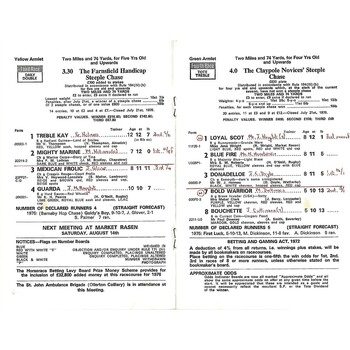 1976 Southwell August Meeting (07/08/1976) Horse Racing Racecard