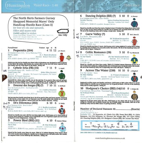 2004 Huntingdon October Race Meeting (31/10//2004) Horse Racing Racecard