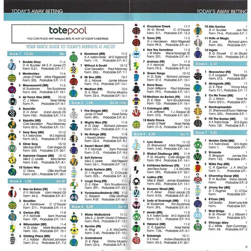 2006 Huntingdon Totesport Peterborough Chase Day Race Meeting (18/11/2006) Horse Racing Racecard