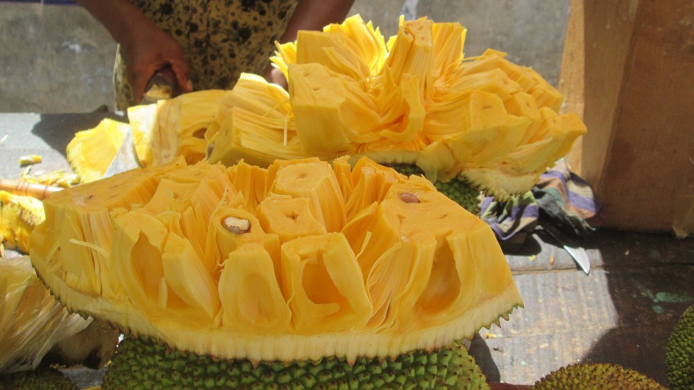 யாழ் பலாப்பழங்களுக்கு மவுசு!