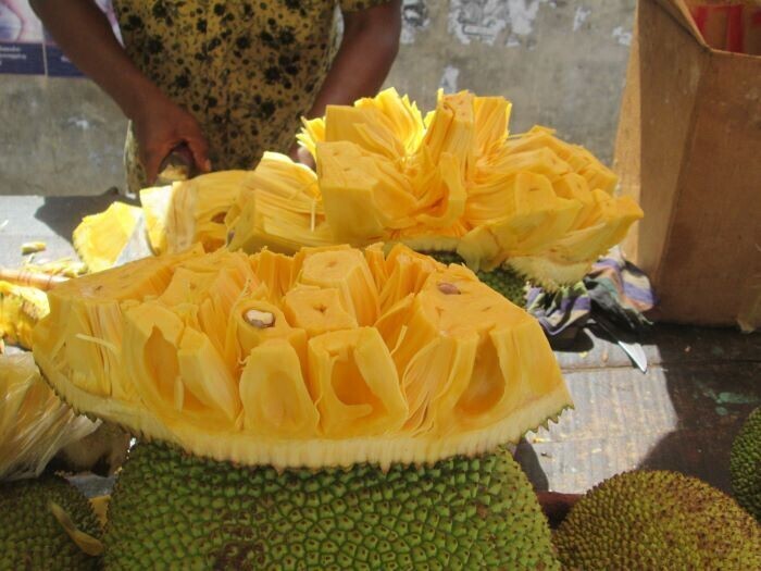 யாழ் பலாப்பழங்களுக்கு மவுசு!