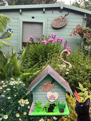 Strictly for the birds!