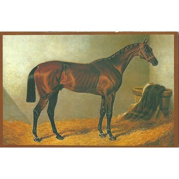 1984 Newmarket First August Race Meeting (03/08/1984) Horse Racing Racecard