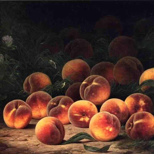 Bounty of Peaches