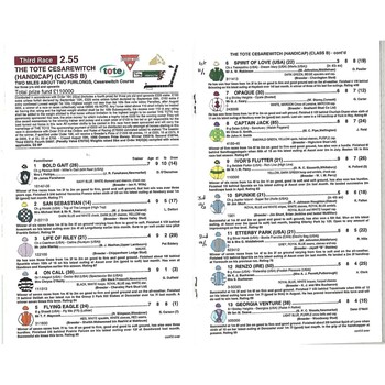 1998 Newmarket Houghton (Champions Day) Meeting (The Dubai Champion Stakes/Tote Cesarewitch) Race Meeting (17/10/1998) Horse Racing Racecard