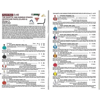 1999 Newmarket Sagitta Guineas Festival Meeting (The Sagitta 1,000 Guineas Stakes) Race Meeting (02/05/1999) Horse Racing Racecard