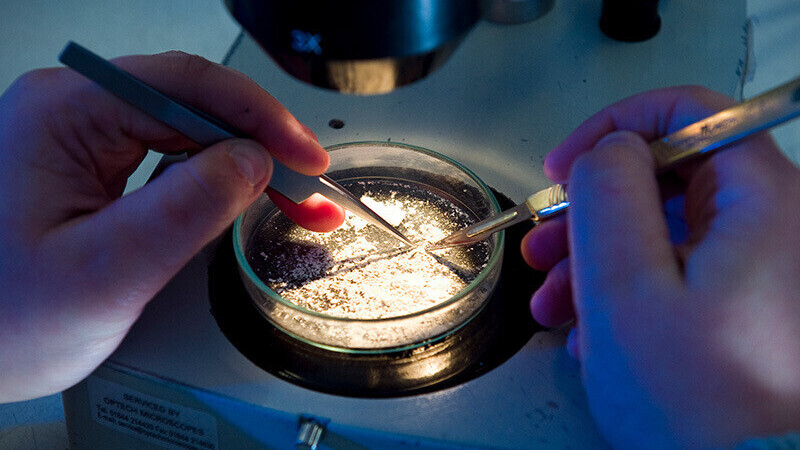 Asbestos Consultancy