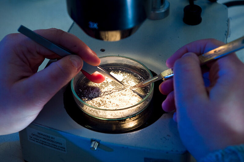 Asbestos Management Review for Local University