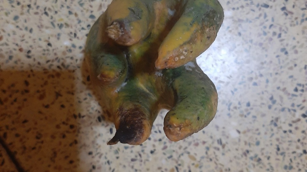 மன்னார் மாவட்ட அதிசயம் ஆனால் உண்மை !