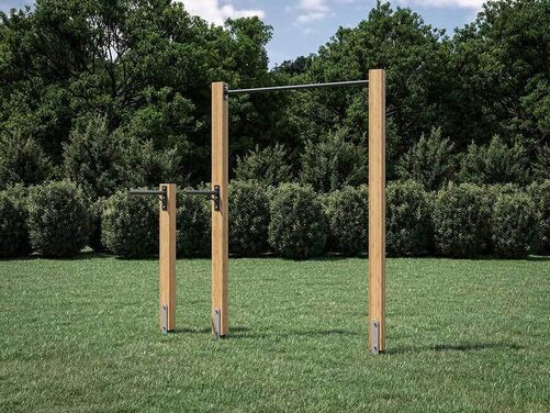 Pull up and Dip Station