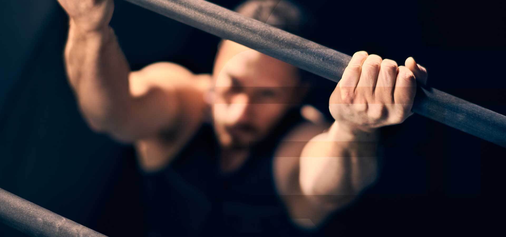 Garden gym Calisthenics equipment