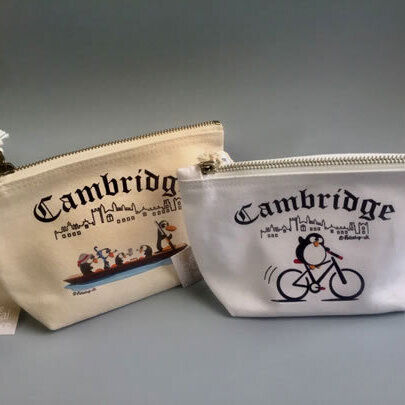 'Punting in Cambridge' Accessory Bag