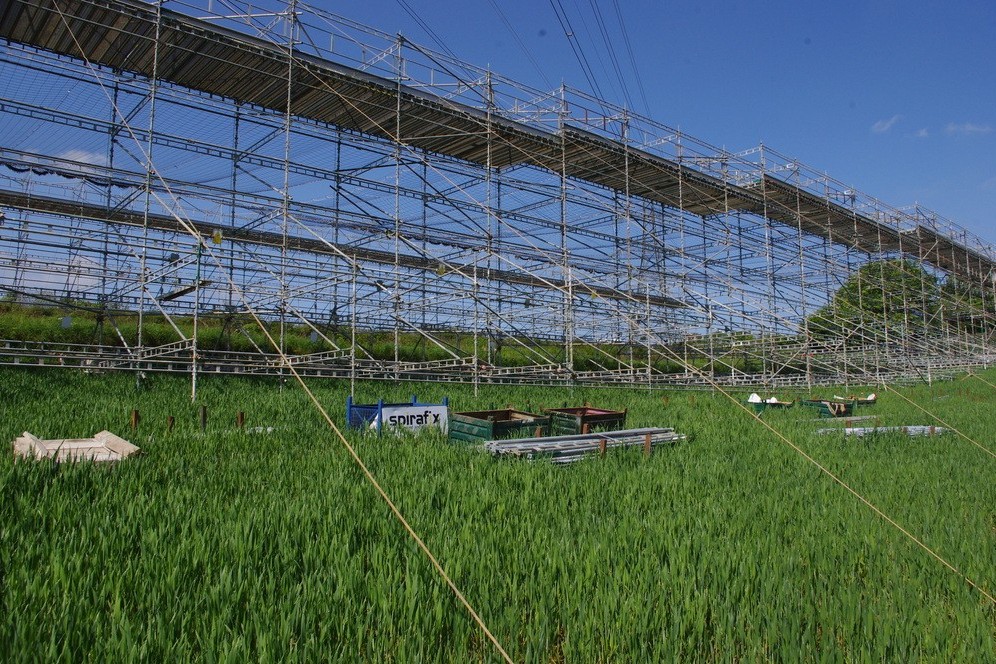 Temporary anchors with easy installation and 100% removal