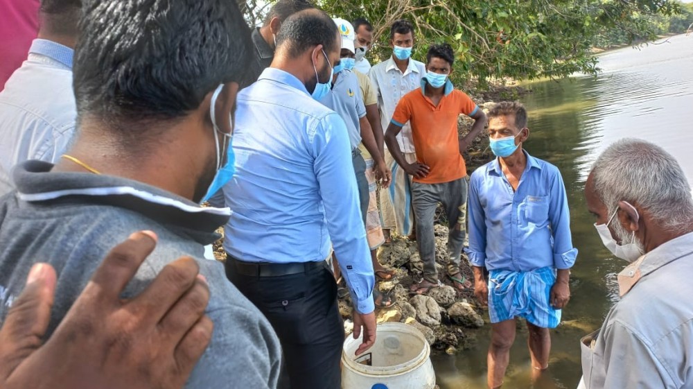 கிராம மக்களின் வாழ்வாதாரத்துக்காக பெரியமடு குளத்தில் 4 இலட்சம் இறால் குஞ்சுகள்