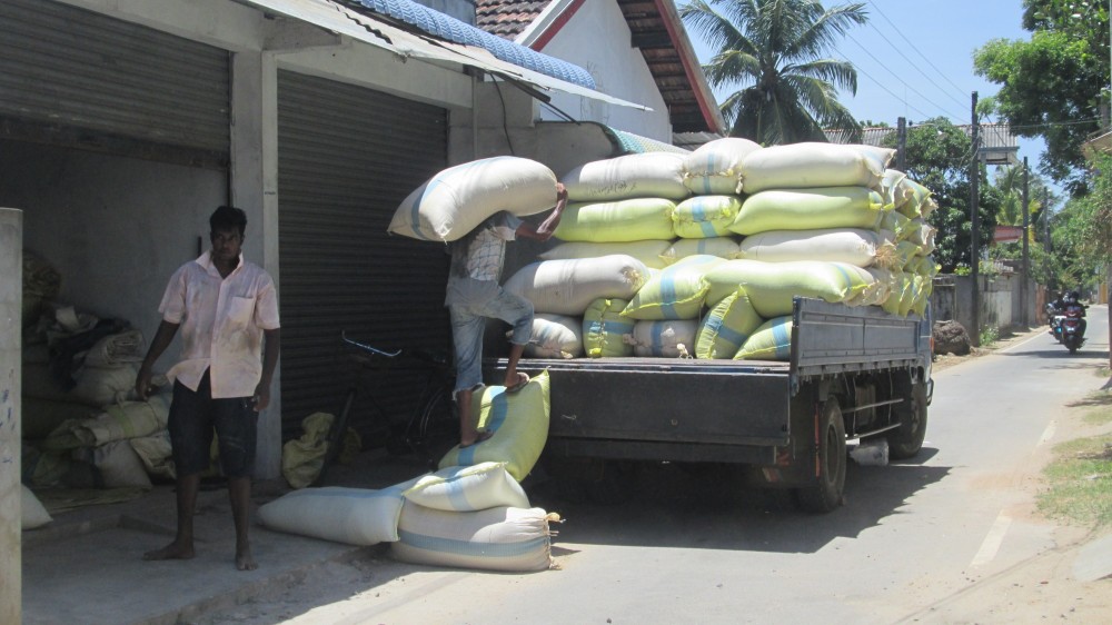 நெல்லைவிற்கும் விவசாயிகள்