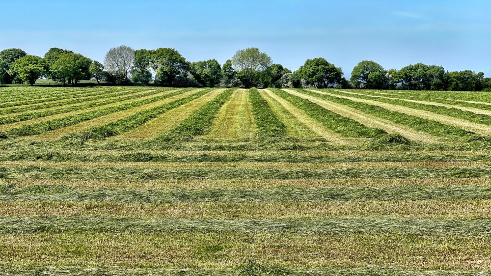 யாழ். மாவட்டத்தில் இராணுவ ஆக்கிரமிப்பில் தனியார் காணிகள்