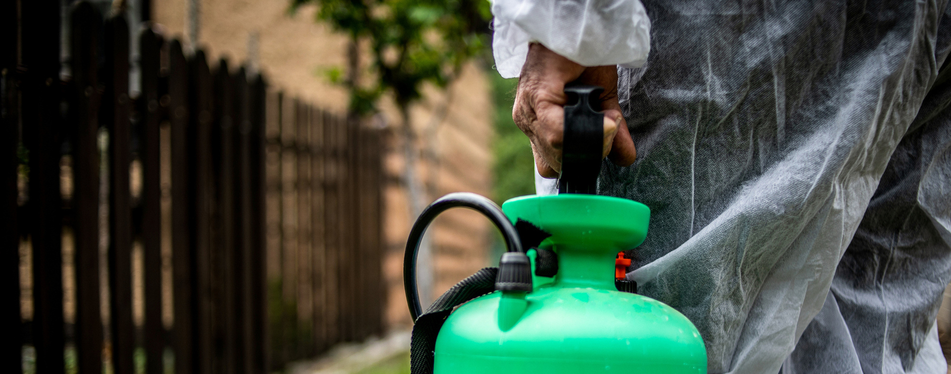 Pest Control Kensington Chelsea