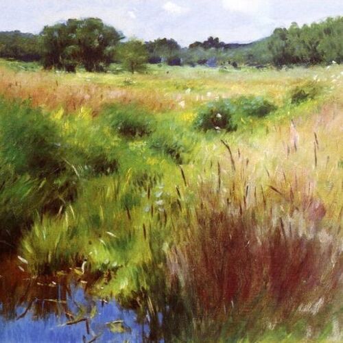 Marshland, Medfield