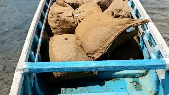 கடத்திவரபட்ட மஞ்சள் பாசையூரில் கைப்பற்றப்பட்டது