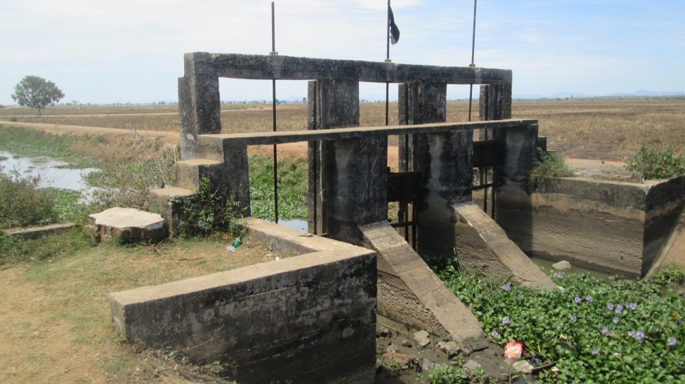 அம்பாறை மாவட்டத்தில் பெரும் போகம்