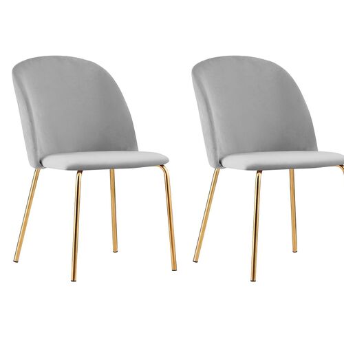 Set of 2 Dale Velvet Dining Chairs with Golden Finish Metal Legs (Light Grey)