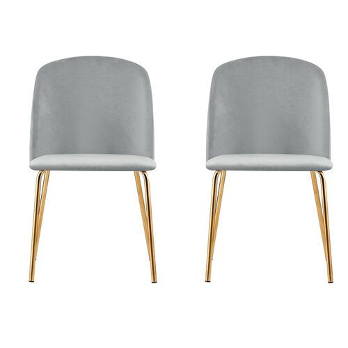 Set of 2 Dale Velvet Dining Chairs with Golden Finish Metal Legs (Light Grey)
