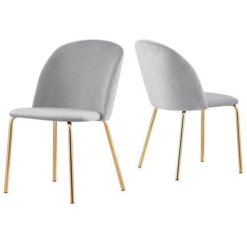 Set of 2 Dale Velvet Dining Chairs with Golden Finish Metal Legs (Light Grey)