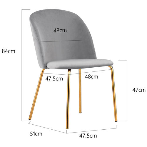 Set of 2 Dale Velvet Dining Chairs with Golden Finish Metal Legs (Light Grey)