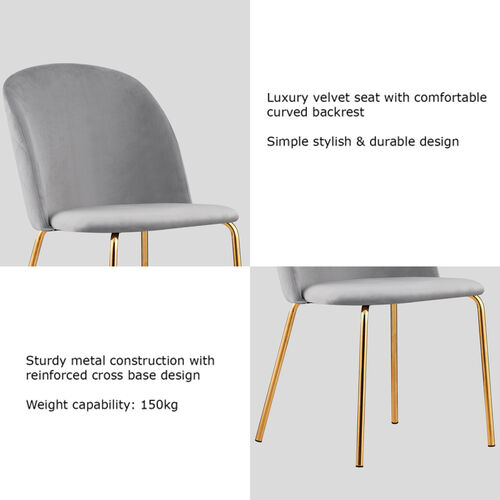 Set of 2 Dale Velvet Dining Chairs with Golden Finish Metal Legs (Light Grey)
