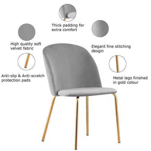 Set of 2 Dale Velvet Dining Chairs with Golden Finish Metal Legs (Light Grey)