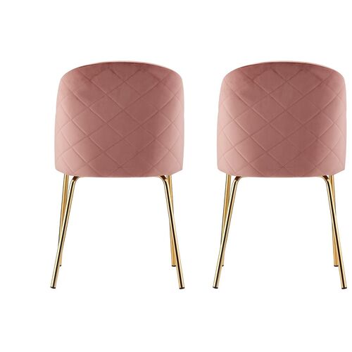 Set of 2 Dale Velvet Dining Chairs with Golden Finish Metal Legs (Pink)
