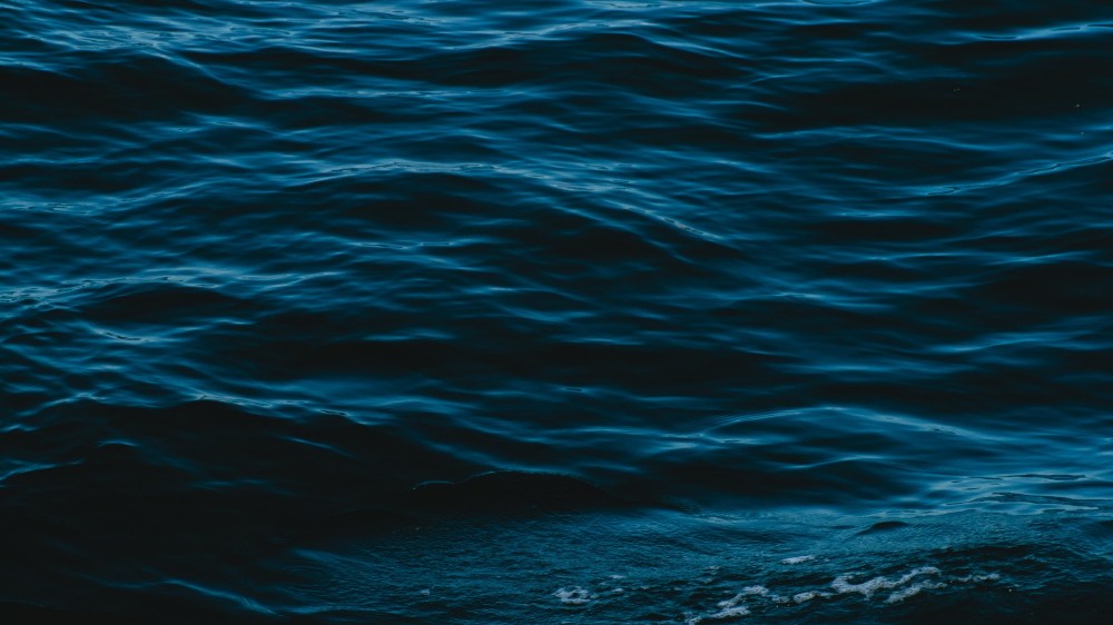 கடல் நீரை நன்னீராக்கும் திட்டத்தை உடனடியாக கைவிடுமாறு சண்முகநாதன் கோரிக்கை