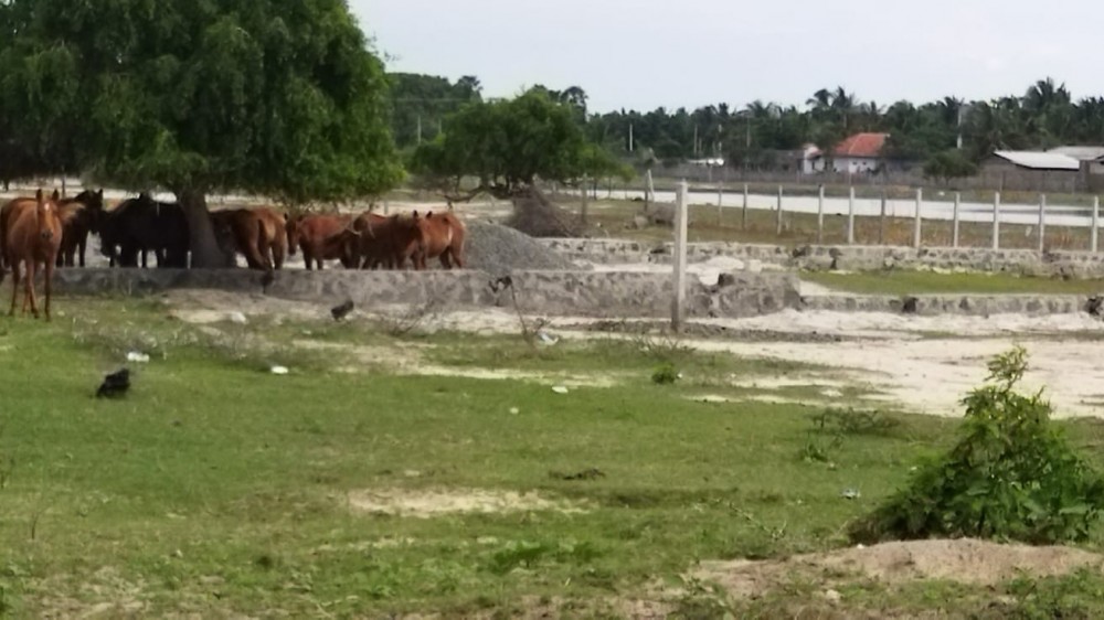 மன்னாரில் கொரொனா ஒருபுறம் காணி அபகரிப்பு மறுபுறம்