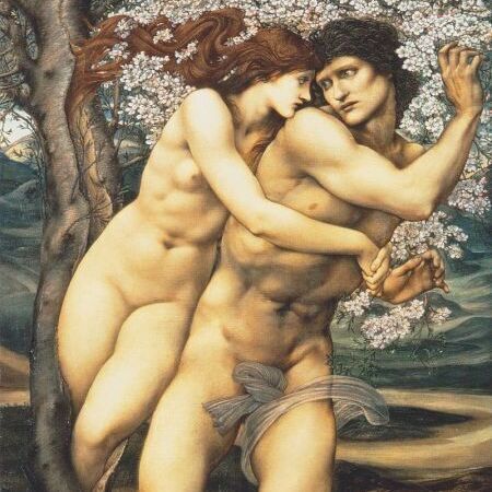 The Tree of Forgiveness