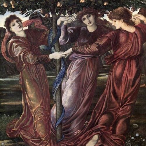 The Garden of the Hesperides