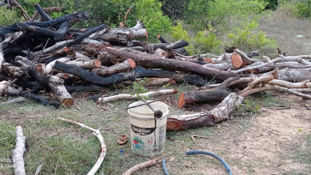 கிளாலி கசிப்பு உற்பத்தி நிலையம் மதுவரி திணைக்களத்தினரால் அழிக்கப்பட்டது