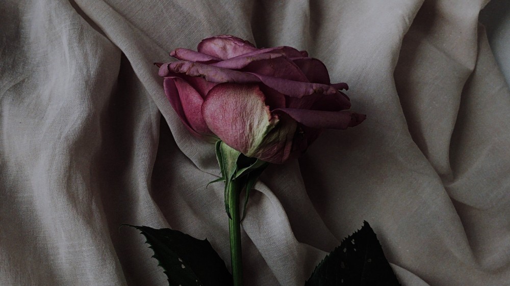 ஒரு உணவகத்தின் ஊழியர் அவரது அறையில் இறந்து கிடந்தார்