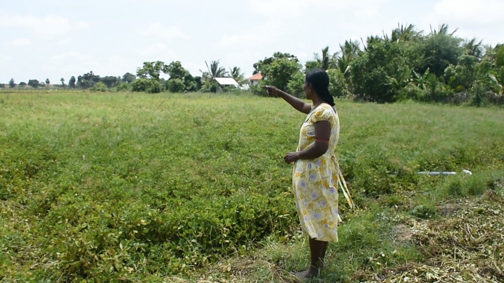 மெசிடோ நிறுவனத்தின் உதவியினால் வாழ்வாதாரத்தை உயர்த்திய குடும்பத் தலைவி