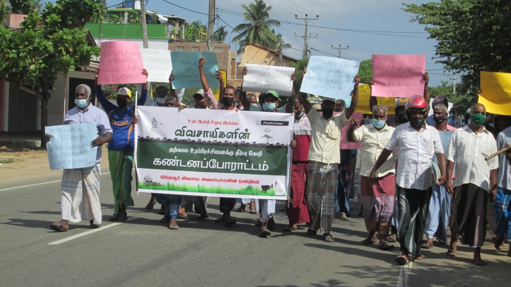 இரசாயன உரப்பசளைத்தடைக்கு - நிந்தவூர் விவசாயிகள் கண்டனம்