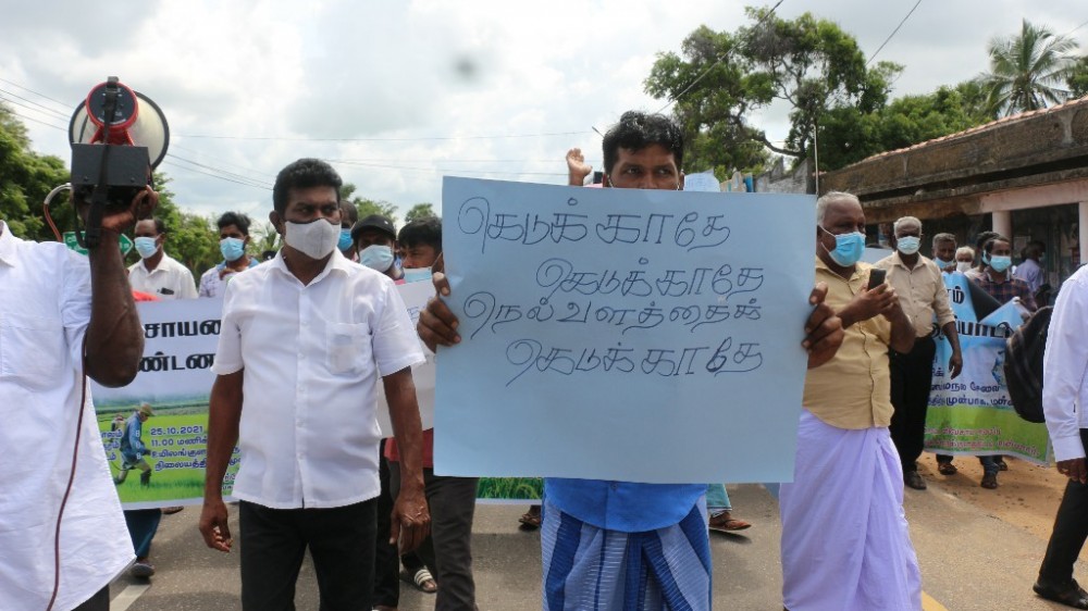 174 கமநல விவசாய அமைப்புக்கள் ஒன்றிணைந்து இரசாயன உரம், கிருமிநாசினி வேண்டி கவனயீர்ப்பு போரட்டம்